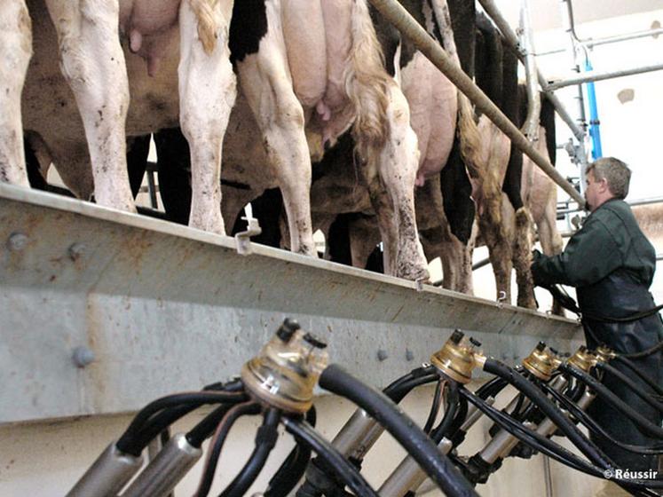 file-Dans le cadre de la réglementation sur la chaîne alimentaire, les éleveurs sont tenus de respecter le paquet hygiène sur les productions animales. Ils doivent avoir de bonnes pratiques et pouvoir le prouver. © Réussir