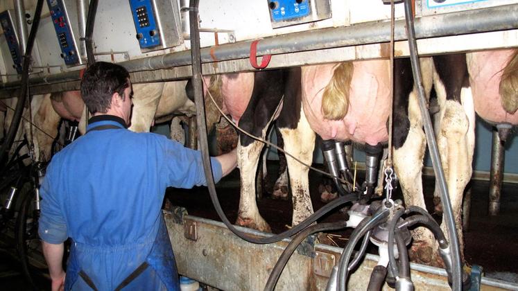 file-Le président de la FNPL, Thierry Roquefeuil, craint un pic de collecte au printemps, avec une remise sur le marché par Bruxelles des stocks de poudre de lait de manière inadéquate. Deux facteurs qui pourraient tirer les prix vers le bas.