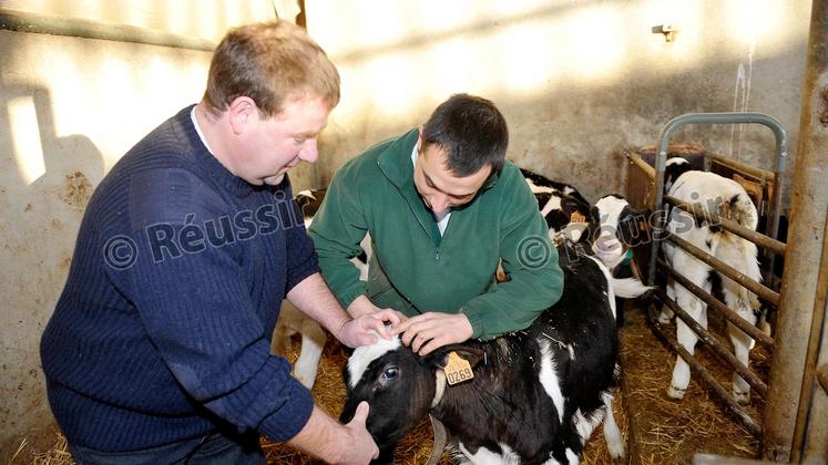 file-Les mentalités évoluent chez les jeunes agriculteurs qui ne veulent plus sacrifier leur vie privée et familiale au travail.