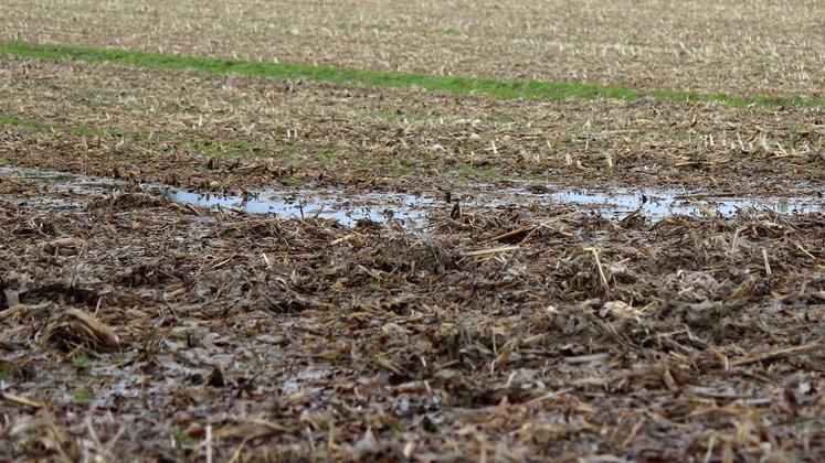 file-L’AGPM a demandé — et obtenu — l’activation de la clause de force majeure pour les agriculteurs n’ayant pas pu semer les couverts après la récolte du maïs.