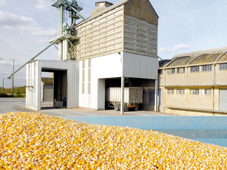 file-Au-delà de la baisse des rendements, la récolte est également caractérisée par un taux d'humidité élevé, ce qui a une incidence directe sur la gestion des silos.