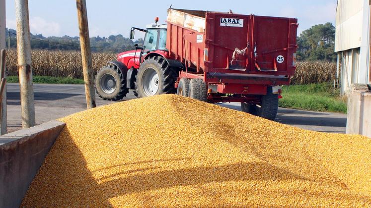 file-L’AGPM a souligné le 24 octobre la résilience du maïs, dont le rendement de 93,2 q/ha est «honorable» malgré la sécheresse.