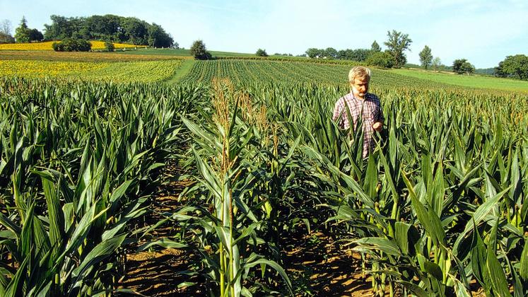 file-En 2019, les trois quarts des agriculteurs exploitants sont des hommes, une proportion en hausse depuis quarante ans, et plus de la moitié sont âgés de 50 ans ou plus.