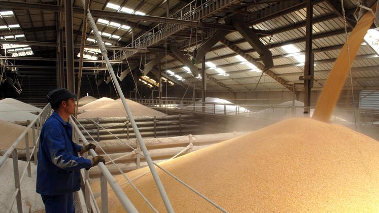 file-En termes de rendement, l’année 2017 s’annonce très bonne pour les maïsiculteurs français. Environ 13,9 millions de tonnes seront vraisemblablement récoltées, soit une hausse de 12% par rapport à la précédente campagne.