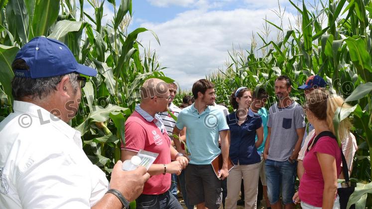 file-Des ateliers pour tout comprendre.