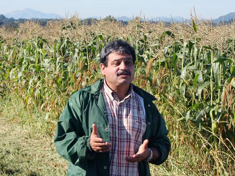 file-De par sa diversité de conditions pédo-climatiques, l'Aquitaine offre une production de mais doux de grande qualité ainsi qu'une grande plage de semis, explique Éric Nassiet, producteur à  Habas (Landes). Â© F.B - Le sillon