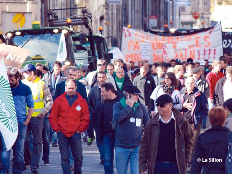 file-La mobilisation lancée par la FNSEA et les Jeunes Agriculteurs a été particulièrement forte dans certaines grandes villes : 1.000 à  Valence, plus de 1.500 à  Pau (notre photo), ou encore 5.000 à  Toulouse.