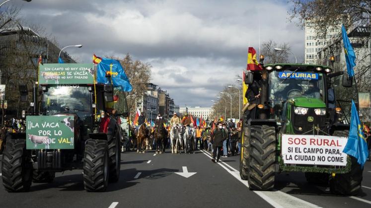 file-Tracteurs et cavaliers en tête, des milliers d’agriculteurs et d’éleveurs ont manifesté le 23 janvier à Madrid pour alerter sur les difficultés, notamment économiques, éprouvées par le monde rural.