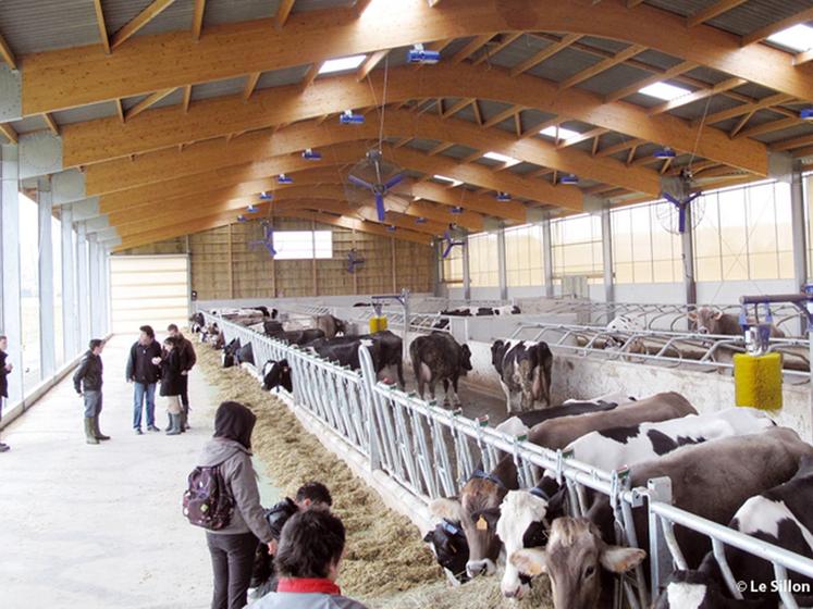 file-Le lycée agricole de Vic-en-Bigorre est orienté en production bovin lait, avec un troupeau laitier de 75 mères (Prim'Holstein et Brunes) pour un quota de 600 000 litres de lait. 