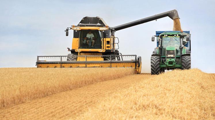 file-Selon les dernières estimations au 1er juillet, la production française de blé tendre atteindrait 36,1 millions de tonnes (Mt), en léger recul de 1,3% par rapport à l'année précédente.