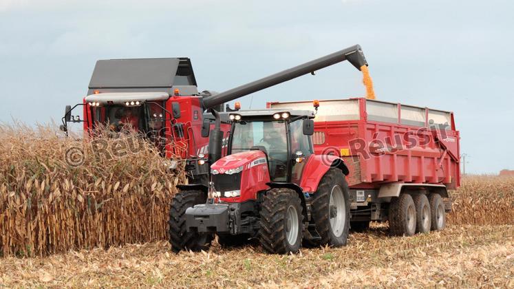 file-La baisse de production de 28% en France est «le résultat d’une année particulièrement difficile, marquée par une sécheresse très importante», note l’AGPM.