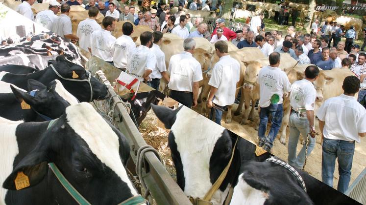 file-Ce samedi 29 juin, Morlaàs va être le théâtre de nombreuses animations, entre concours et exposants. La qualité et le savoir-faire de l’agriculture départementale seront mis à l’honneur.