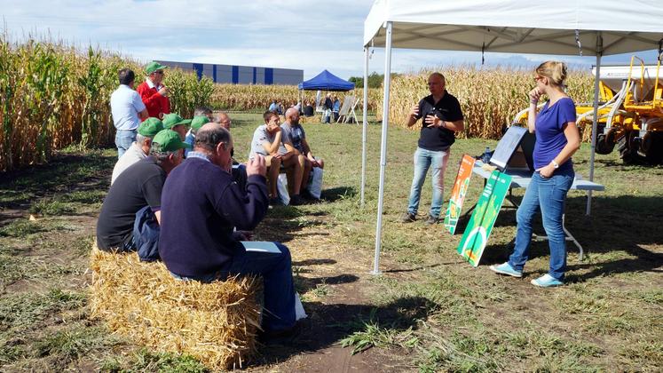 file-Lur Berri a proposé à ses adhérents huit ateliers pour répondre à la double exigence : rentabilité et agroresponsabilité dans la culture du maïs.