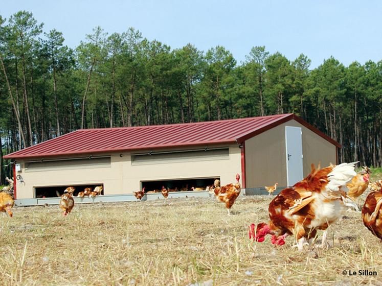 file-Plus économe et performant, le nouveau modèle de bàtiment déplaçable mis au point par Élevage Service devrait séduire les éleveurs et dynamiser la production de poulets élevés en liberté, en quête de volumes. Â© Le Sillon