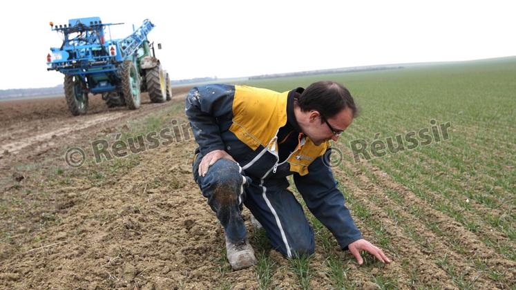 file-Depuis 2009, l’offre variétale des orges hybrides s’est développée.