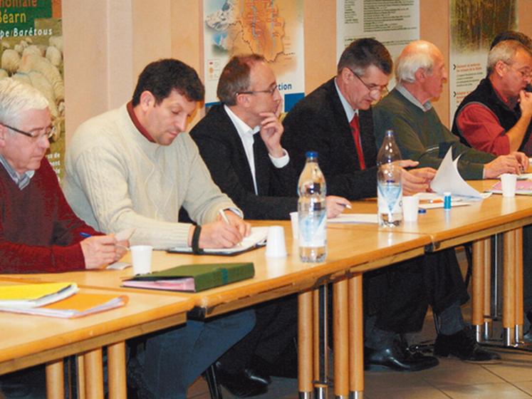 file-Lors d'une assemblée plénière extraordinaire, élus, chasseurs et professionnels agricoles ont fait savoir qu'ils étaient farouchement opposés au plan de réintroduction proposé par le Gouvernement Â© IPHB