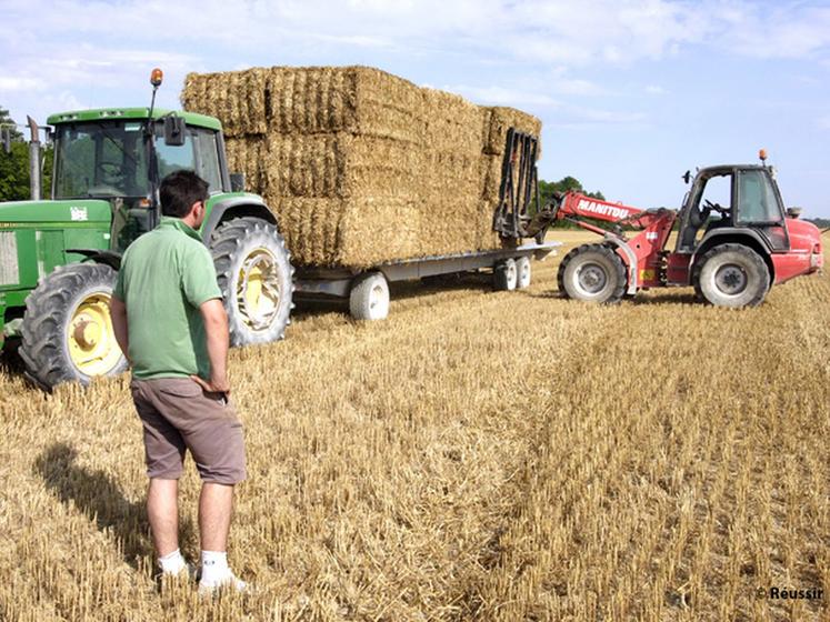 file-La FNSEA demande à  ses membres de s'organiser pour éviter une pénurie de paille, les besoins de l'élevage devant être « 4 à  5 fois supérieurs » à  la norme, en raison de la sécheresse. Â© Réussir