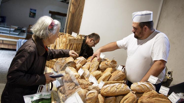 file-Les magasins bio constituent les principaux points de vente des produits issus de la filière française, notamment les boulangeries qui représentent quasiment 50%.