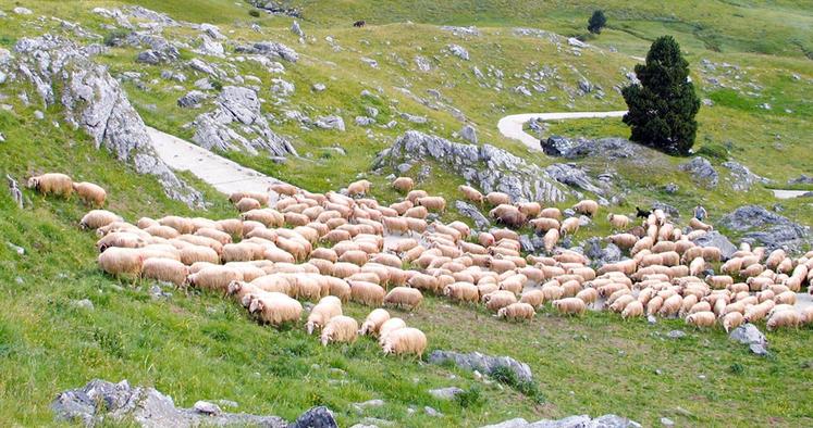file-Le coup d’envoi des projets pastoraux pour 2016 a été donné le 2 mai.