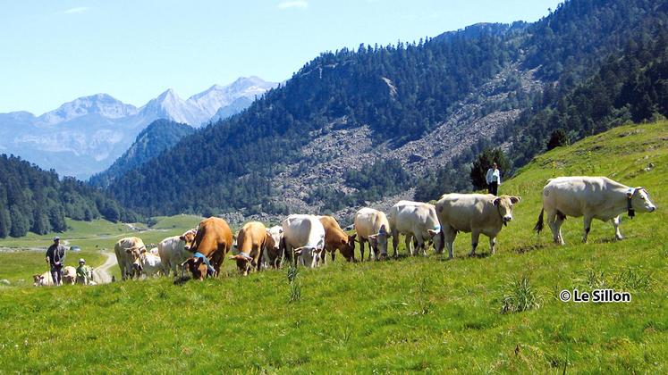 file-Afin de tenir compte des spécificités pyrénéennes, la région Aquitaine a demandé à passer le plafond à 2,5 UGB/ha. En effet, les Pyrénées-Atlantiques présentent des taux de chargement supérieurs à d’autres zones.