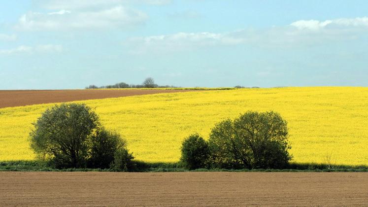 file-La phase de restitution des “surfaces non agricoles” a débuté.