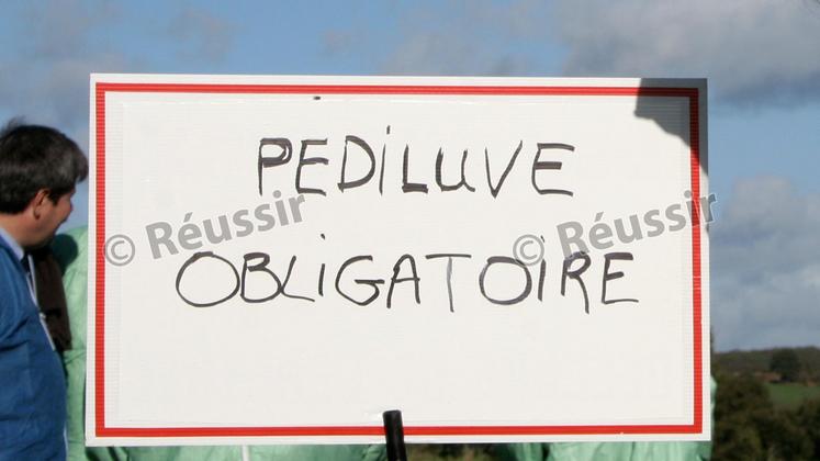 file-L’un des foyers d’influenza aviaire a été détecté sur un lot de pintades grâce à la vigilance de l’éleveur et de son vétérinaire qui a permis très rapidement de déceler le virus.