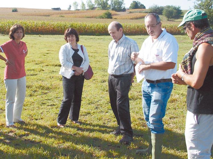 file-Les fortes pluies de la semaine dernière ont permis un reverdissement des prairies, mais les «Â trousÂ » (pieds morts) demeurent et, même si les conditions météo sont favorables, il serait peu rentable d'envisager une deuxième coupe en octobre Â© D.M