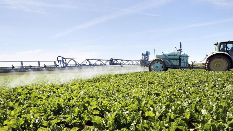 file-Depuis le 1er janvier, des zones de non-traitement (ZNT) imposent aux agriculteurs de nouvelles distances minimales entre les surfaces traitées et les zones d’habitations.