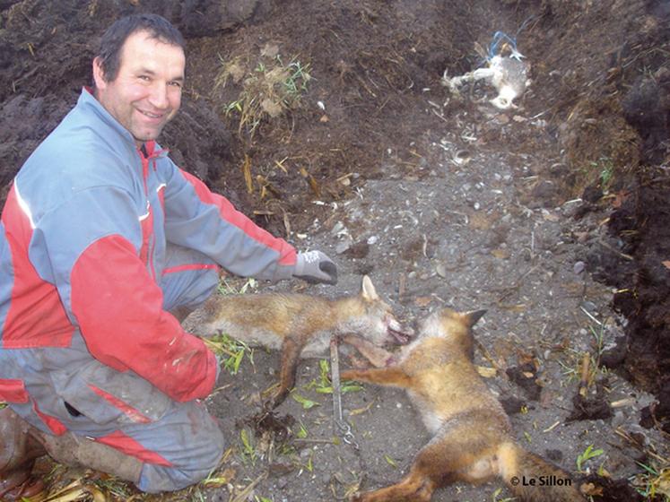 file-Jean-Claude Tatieu a suivi la formation de la chambre d'agriculture des Pyrénées-Atlantiques. Il est aujourd'hui en mesure de lutter contre les ravageurs, comme les renards. © Le Sillon