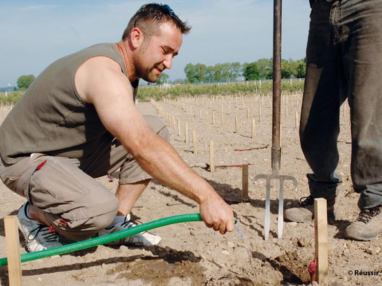 file-Pour l'Arev, la libéralisation des droits de plantation aurait des effets négatifs sur l'économie et entraînerait une délocalisation des vignobles vers les plaines et une industrialisation du secteur. Â© Réussir