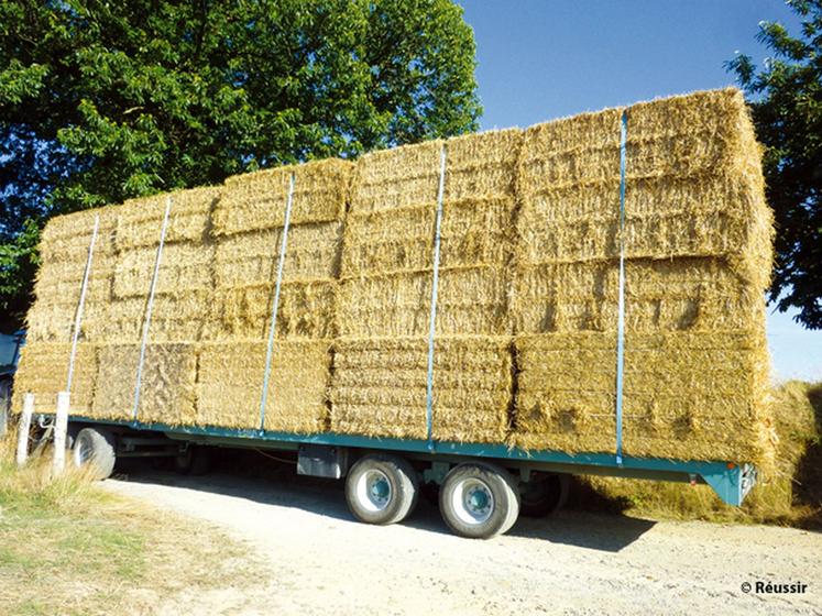 file-Sur les plus longs plateaux, les moulinets et échelons à chaque extrémité du plateau ne doivent pas dépasser les 12 mètres autorisés. © Réussir