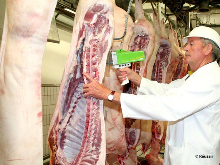 file-Après les éleveurs de bovins, ce sont les producteurs de porcs qui demandent aux industriels et à  la distribution de tenir compte de l'augmentation des coûts de production. Â© Réussir