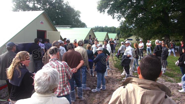 file-Les organisateurs de la journée ne s’attendaient pas à une telle affluence : près de 110 personnes ont visité l’élevage de Jonathan Lalondrelle à Vielle-Soubiran.