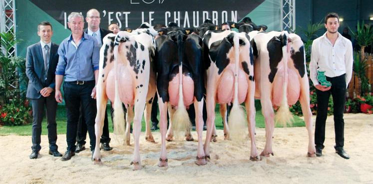 file-Les quatre élevages des Pyrénées-Atlantiques ont obtenu de nombreux prix au concours national, dont ceux du meilleur lot d’élevage et de la jeune championne.