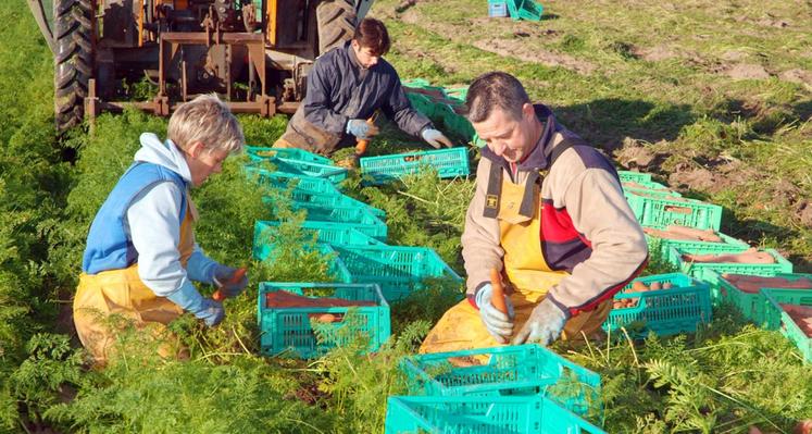 file-Parmi les freins identifiés par les sénateurs à la compétitivité de l’agriculture française, le coût du travail, qui est respectivement 1,7 et 1,5 fois plus élevé qu’en Espagne et en Allemagne.