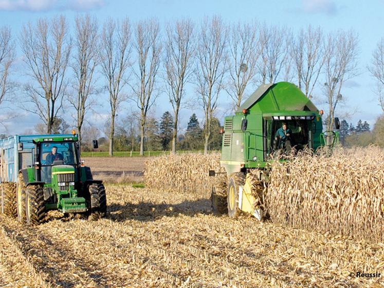 file-Alors que la récolte de mais se termine, de façon assez tardive, un bilan de campagne a été réalisé par l'AGPM qui parle d'une « bonne » récolte tant en quantité qu'en qualité.