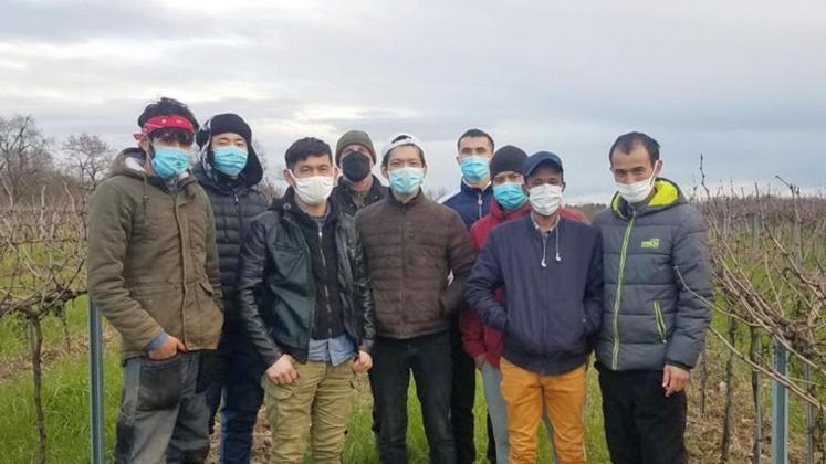 file-Jusqu’à la fin du mois de février, les huit réfugiés apprennent notamment la taille de la vigne avec leur formateur, Joël Manaud, qui est également viticulteur.