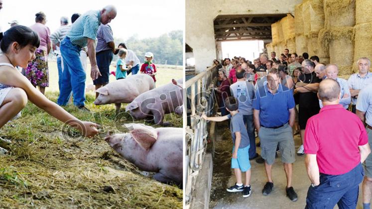 file-Le samedi 12 septembre, 12 agriculteurs du Béarn et au Pays basques invitent le public venir les rencontrer pour mieux faire connaissance et mieux se comprendre.
