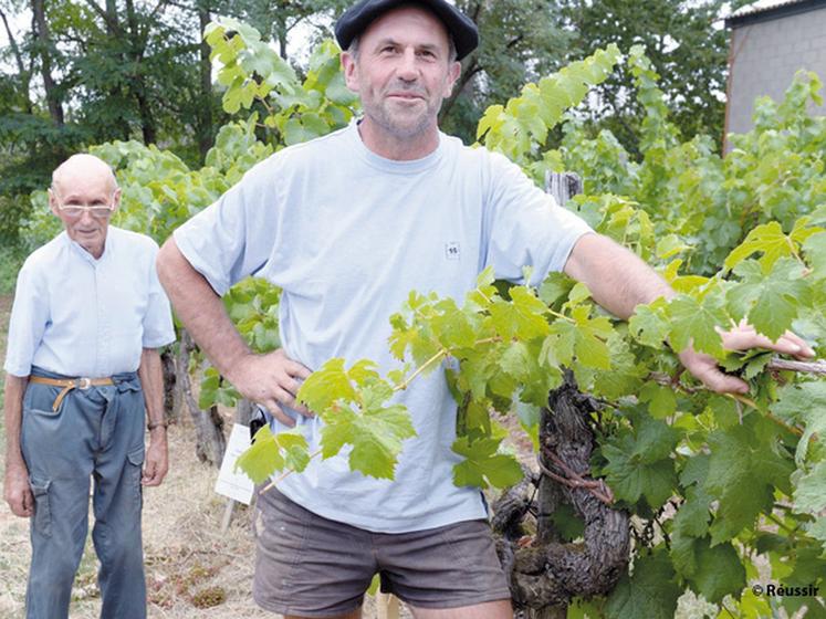 file-Une parcelle du cépage tannat, planté franc de pied vers 1871 a donné en 2012 la cuvée spéciale Vignes préphylloxériques : seulement 1345 bouteilles numérotées, réservées à  55 euros pièce. Jean-Pascal Pédebernade et son père René, vignerons à  Sarragachi