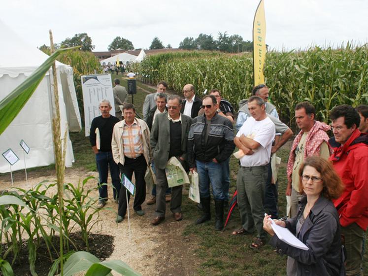 file-Les travaux d'Arvalis consistent à  évaluer le comportement des multiples espèces dans différentes conditions de production afin de fournir des références technico-économiques pertinentes, sur lesquelles peuvent s'appuyer les producteurs Â© F.B 