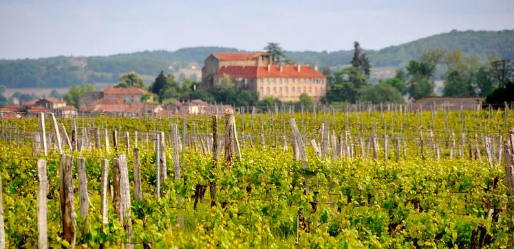 file-Les vignerons de l’appellation proposent un programme très riche et varié. ©Vins Saint-Mont