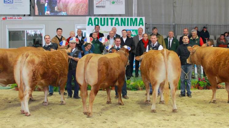 file-Les organisateurs d’Aquitanima, en partenariat avec les associations d’éleveurs, travaillent actuellement sur l’organisation des concours au parc des expositions de Bordeaux-Lac.