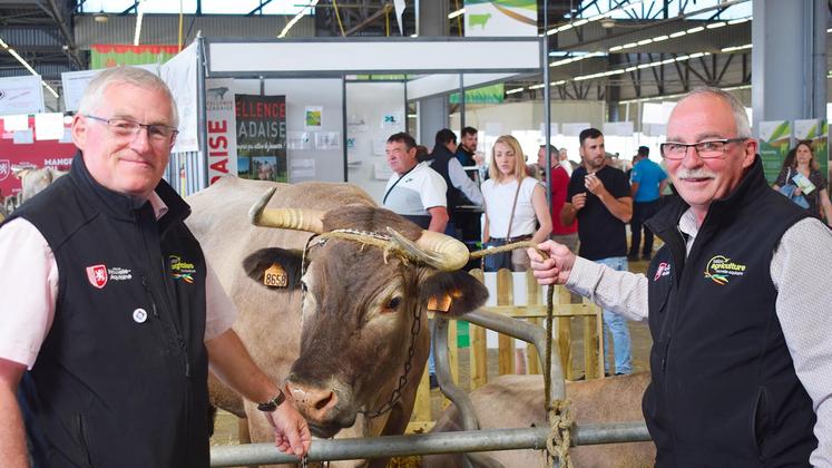 file-Bruno Millet, à gauche, et Dominique Graciet, à droite, devant la barre prestige. Avec la bazadaise Haquitanima, née sur le salon en 2012. © S. D. - Le Sillon