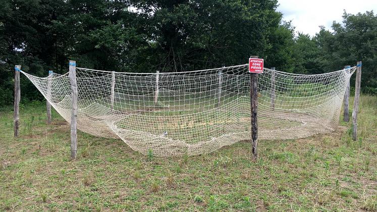 file-Relativement simple à installer, le piège est composé d’un filet circulaire tenu par des poteaux. Les piégeurs peuvent le coupler avec une caméra de surveillance pour le suivre au plus près.