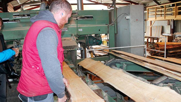 file-Seulement 4% des personnes sondées pensent à la mission de production que remplit la forêt, alors qu’elles sont 76% à utiliser le bois au quotidien. © Photo B. D. - Le Sillon