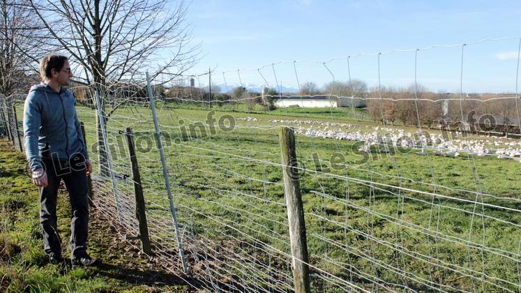 file-C’est toute une filière qui subit de plein fouet la crise de l’influenza aviaire.