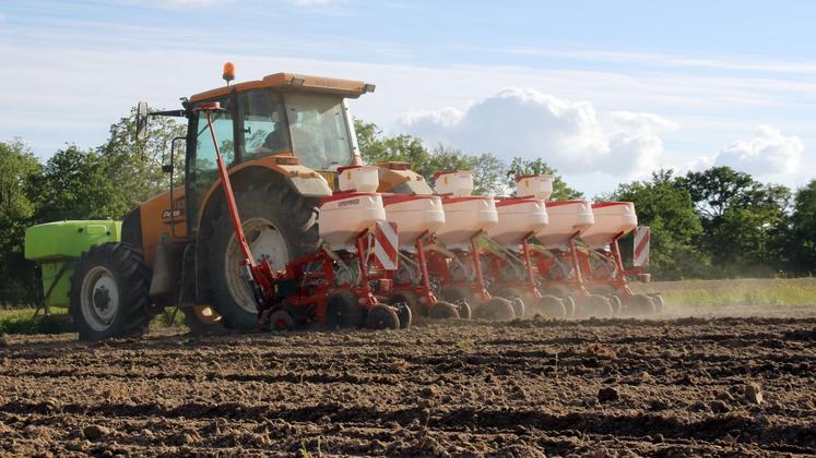 file-Hormis la sole de protéagineux, les surfaces de toutes les autres cultures de printemps sont en net retrait cette année