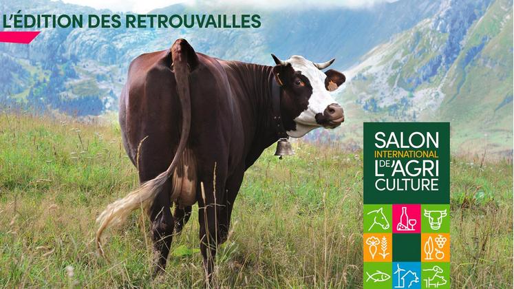 file-Après une édition annulée en 2021, les organisateurs du Salon international de l'agriculture (SIA) veulent faire de l'édition 2022 celle des «retrouvailles».
