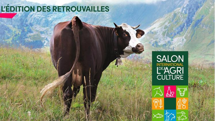 file-La 58e édition du Salon international de l'agriculture de Paris se déroulera du 26 février au 6 mars.