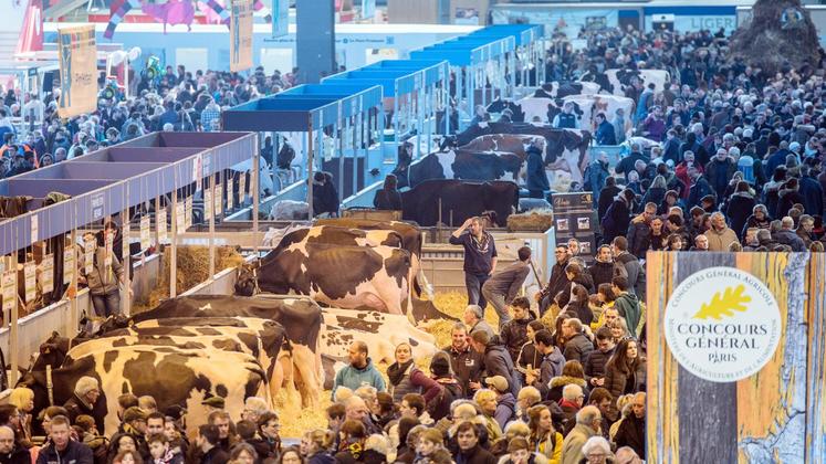 file-Du 23 février au 3 mars, le parc des expositions de la Porte de Versailles devient la plus grande ferme de France.